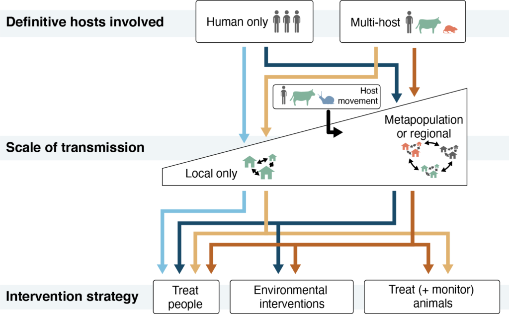 Framework for tailoring schistosomiasis control interventions to target key drivers of infection Source: Lund et al 2022. Integrating genomic and epidemiologic data to accelerate progress toward schistosomiasis elimination. eLife 11: e79320 https://elifesciences.org/articles/79320