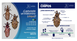 Posters for the #TraeTuChipo campaign, with instructions for safe handling, and phone numbers to get help with their identification