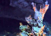 Deep-sea Hydrothermal Vent