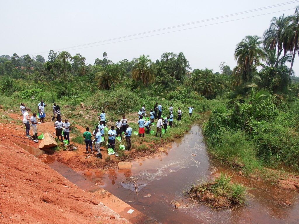 A wide view photo, showing a stream and vegetation. A team of citizen researchers, men and women wearing light blue t-shirts and holding scoops on long poles are gathered on the bank of the stream. 