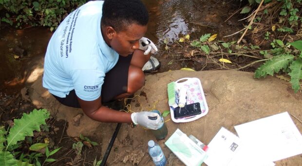 A woman wearing a light blue polo shirt with Citizen Researcher written on the sleeve, and white gloves, holding forceps over a container of pond water. She is squating down facing to the right and looking at a tray on the ground that has snall aquatic snails in it.