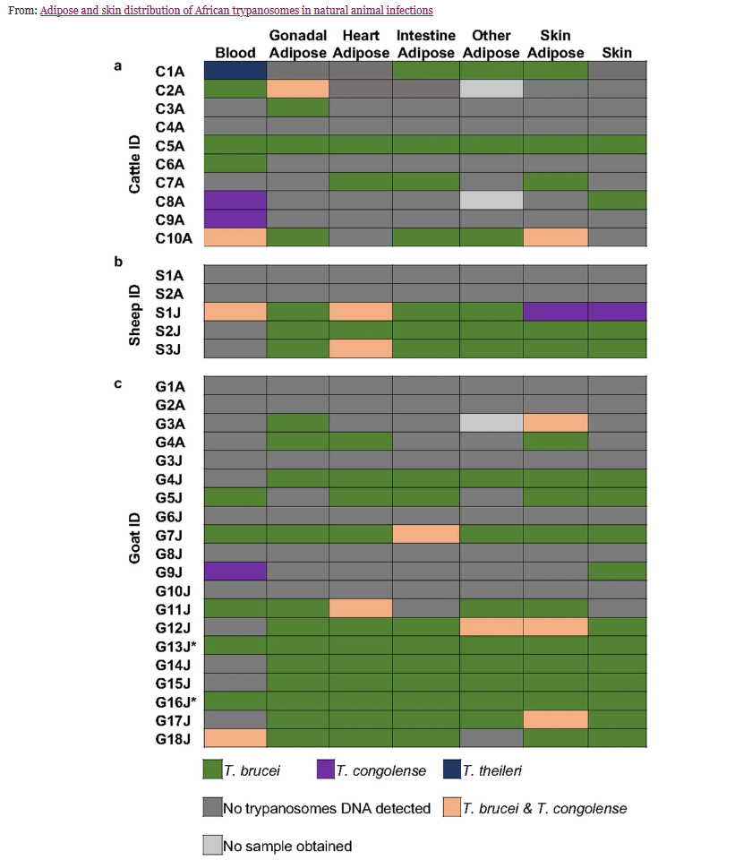 A table showing the species detect by sample type and by tested animal. 