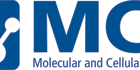 Molecular and Cellular Therapies