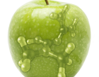 Apple&cells_2014_all green_small