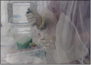 A lab worker inactivating patient samples
