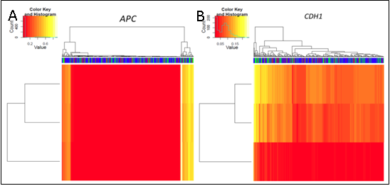 Representative heat maps for the Infinium HumanMethylation450 beadchip array methylation analyses for the TCGA HNSCC cohort. These heat maps represent methylation of A) APC and B) CDH1 (Please see the article for full details).