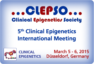 CLEPSO 2015 meeting