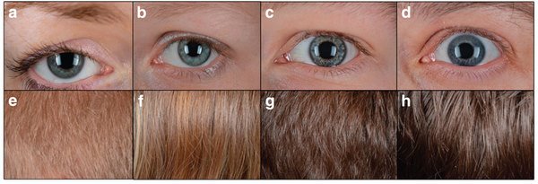 Hair and eye color ranges