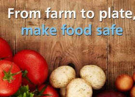 World Health Day 2015: from farm to plate, make food safe