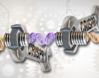 CRISPR-Cas9 editing of the genome