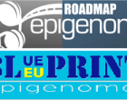 Epigenome Roadmap & Blueprint