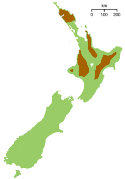 Distribution of the North Island brown kiwi