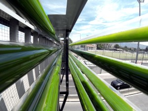 Algae running through viaducts above a highway in Geneva, Switzerland.