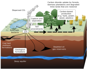 A diagram showing the processes of CO2 capture and sequestration, with application for biofuels and natural development.