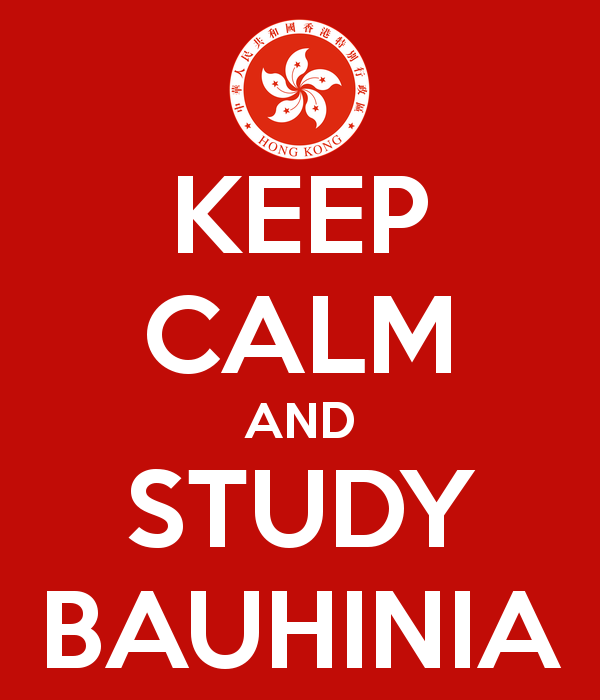 keep-calm-and-study-bauhinia