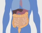 What can gut bacteria tell us about the risks of type 2 diabetes?