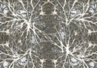 neurons-582050_1920