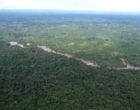 Aerial vew of green african forest liberia