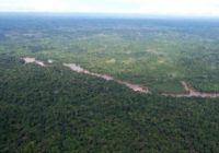 Aerial vew of green african forest liberia