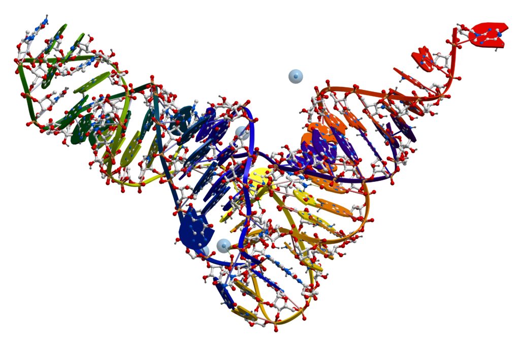 Living In An Rna World On Biology 9750