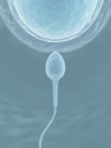 IVF PIC