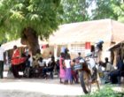 Integrating public health interventions. Community health workers in west Africa gather under a tree to collect samples for public health research.