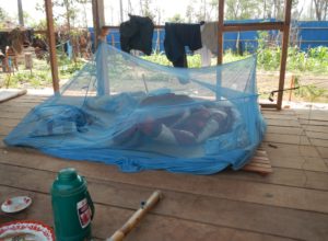 Mobile population often move with their families and exposure of infants and children to malaria vectors occur while in temporary housing as well as in forest and while accompanying their parents in forests and plantations.