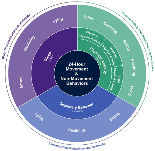 how-do-you-define-sedentary-behaviour-on-health