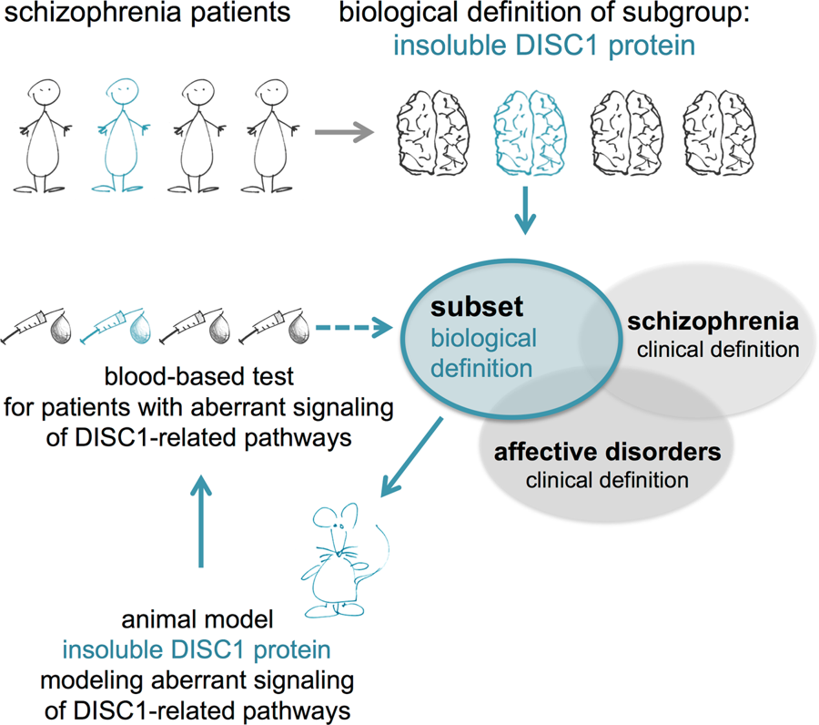 On Health Is schizophrenia accurately and objectively diagnosed?
