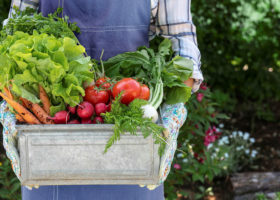 Woman holding crate full of freshly harvested vegetables.