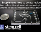 Stem cell supplement