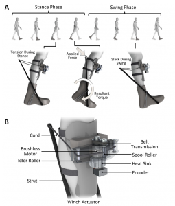 exoskeleton schematic