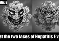 Hep E-the 2 faces