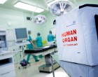 organ donation box (deceased)