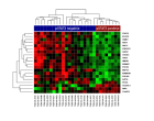 Enriched genes in HER2-positive breast cancer patients