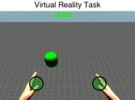 VR task