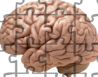 Putting together the evidence for brain morphology and schizophrenia