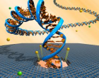 DNA sequencing nanopore_Wikimedia Commons