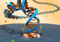 DNA sequencing nanopore_Wikimedia Commons