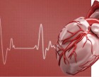 The risk of cardiovascular disease - read more for World Heart Day