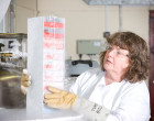 Frozen tissue samples being assessed at Barts Hospital Tissue Bank