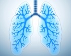 LungsiStock
