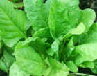 Spinach: a leafy vegetable high in magnesium.