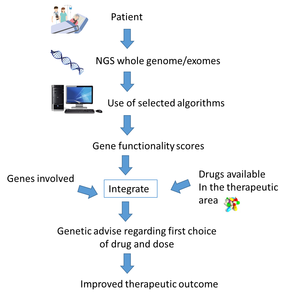 Precision Medicine Taking The Individual’s Whole Genome Into ...