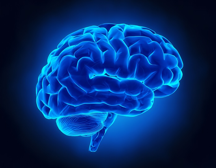 Brain Awareness Week 2019 quiz - On Medicine