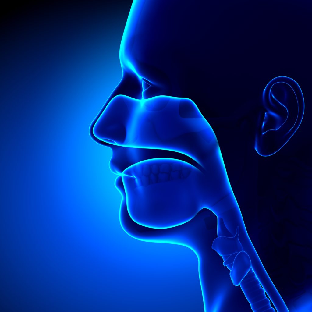 Oral, Head and Neck Cancers 2019 Quiz - On Medicine