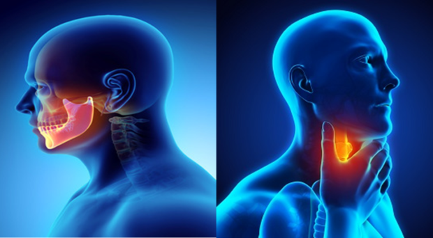 On Medicine Oral, Head and Neck Cancer Awareness Month: Research Highlights