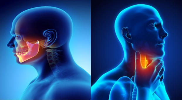 Oral, Head and Neck Cancer Awareness Month: Research Highlights - On ...