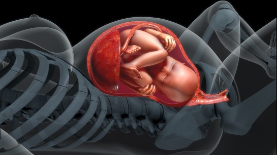 À procura de um SOS molecular de fetos adoecidos por suas placentas fracassadas 1