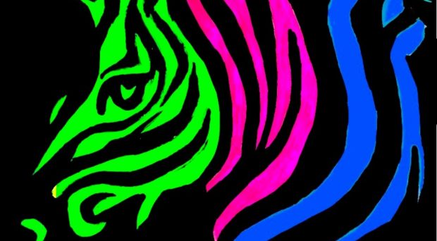 bright neon zebra wallpaper